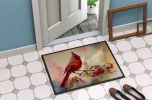 Cardinal Doormat Front Door Mat Indoor Outdoor Rugs for Entryway, Non Slip Washable Low Pile, 24H X 36W