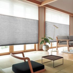 WELLSOURCE Manual Cordless Day and Night Cellular Shades Non Blackout Light Filtering Honeycomb Fabric for Home, Office, Hotel, Club (Color: Gray, size: CUSTOM SIZE)