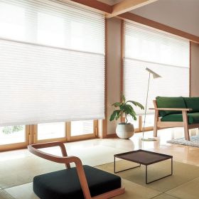 WELLSOURCE Manual Cordless Day and Night Cellular Shades Non Blackout Light Filtering Honeycomb Fabric for Home, Office, Hotel, Club (Color: White, size: CONTACT US)